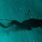 La ASEA detecta manchas tras nuevo derrame en Cantarell