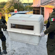 Elevan a Vicefiscalía General la atención a crímenes ambientales