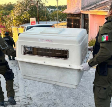 Elevan a Vicefiscalía General la atención a crímenes ambientales
