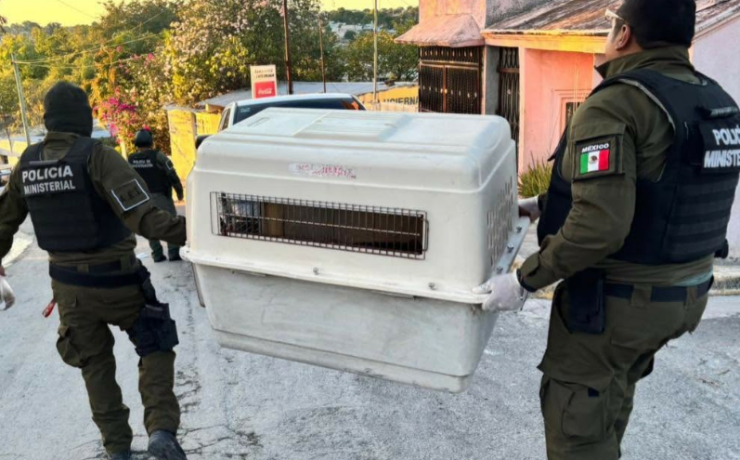 Elevan a Vicefiscalía General la atención a crímenes ambientales
