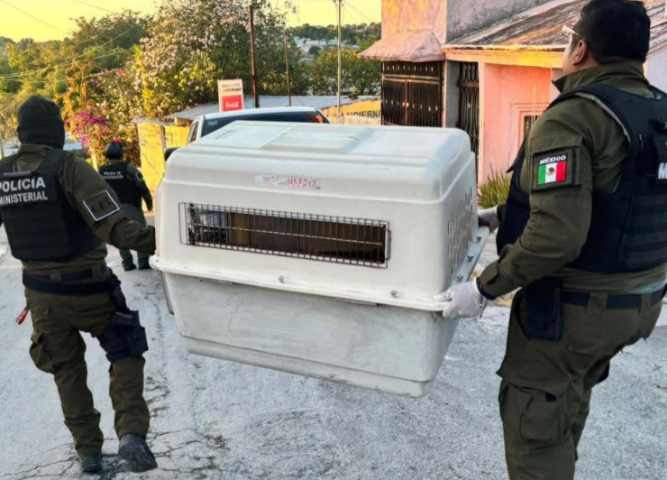 Elevan a Vicefiscalía General la atención a crímenes ambientales