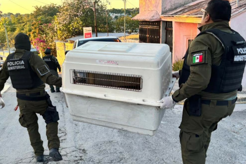 Elevan a Vicefiscalía General la atención a crímenes ambientales
