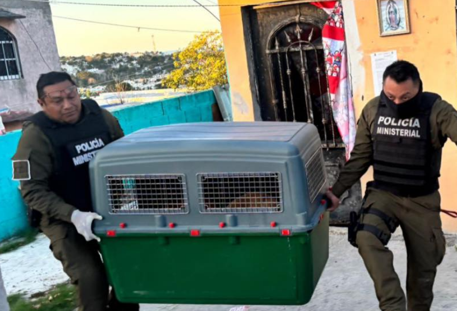 Más denuncias fortalecen la nueva estructura