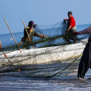 Pescadores quieren hablar de los nuevos motores marinos