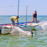 Cientos de pescadores piden "SOS" por la crisis pesquera