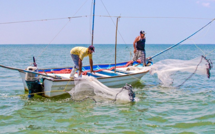 Cientos de pescadores piden "SOS" por la crisis pesquera