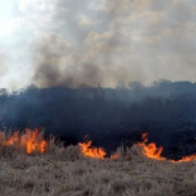 Se reportan más de 600 incendios por "efecto lupa"