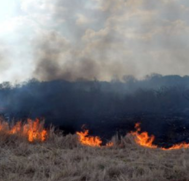 Se reportan más de 600 incendios por "efecto lupa"