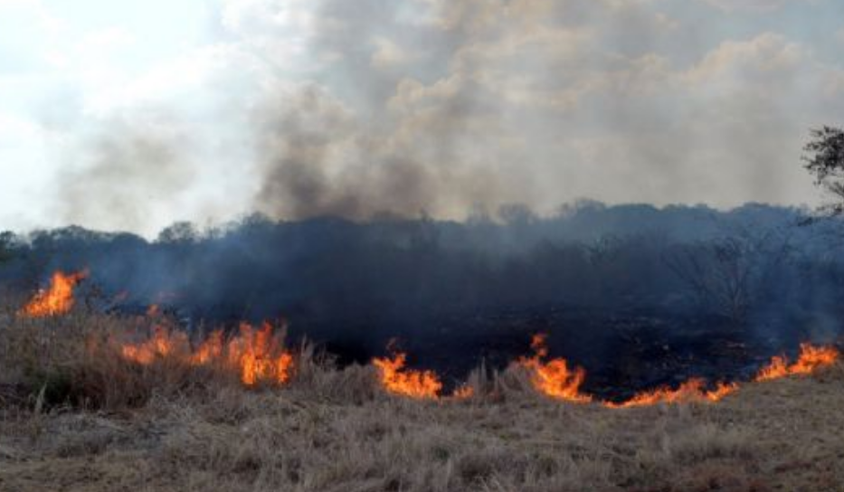Se reportan más de 600 incendios por "efecto lupa"
