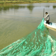 Nuevo programa de subsidios a pescadores de Campeche