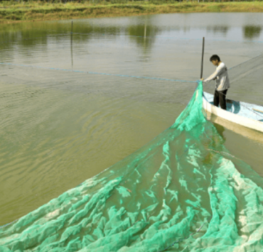 Nuevo programa de subsidios a pescadores de Campeche