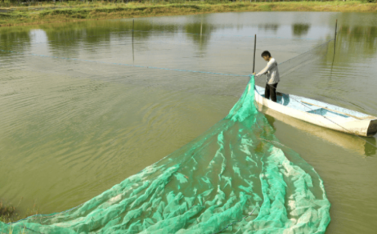 Nuevo programa de subsidios a pescadores de Campeche