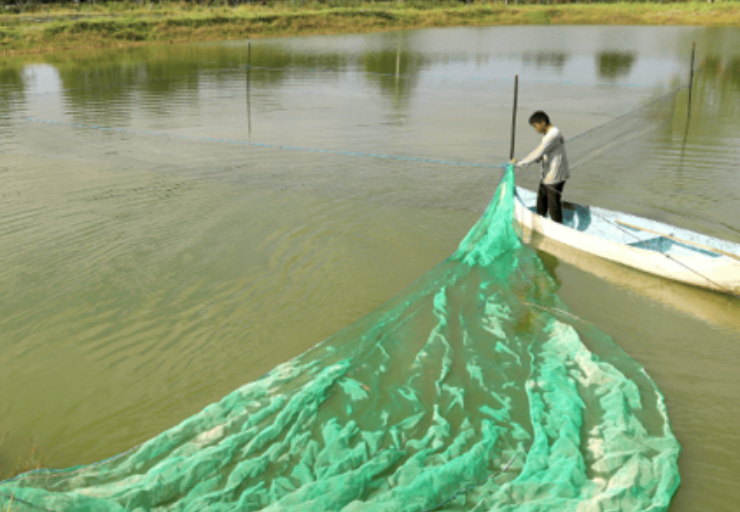 Nuevo programa de subsidios a pescadores de Campeche
