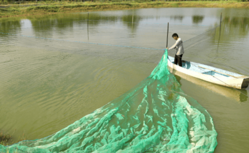 Nuevo programa de subsidios a pescadores de Campeche