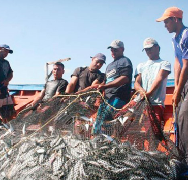 Buscan rescatar la pesca en Campeche con nuevo plan científico