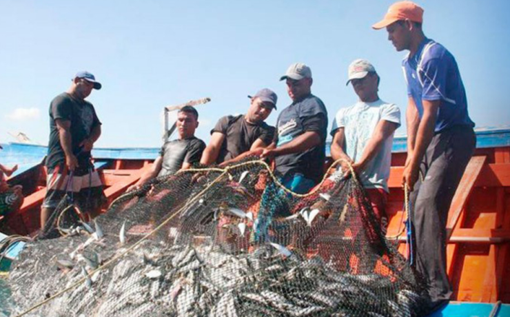 Buscan rescatar la pesca en Campeche con nuevo plan científico