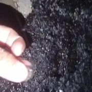 Detectaron presencia de hidrocarburos en playas de Punta Xen
