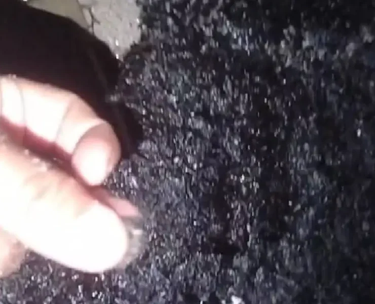 Detectaron presencia de hidrocarburos en playas de Punta Xen