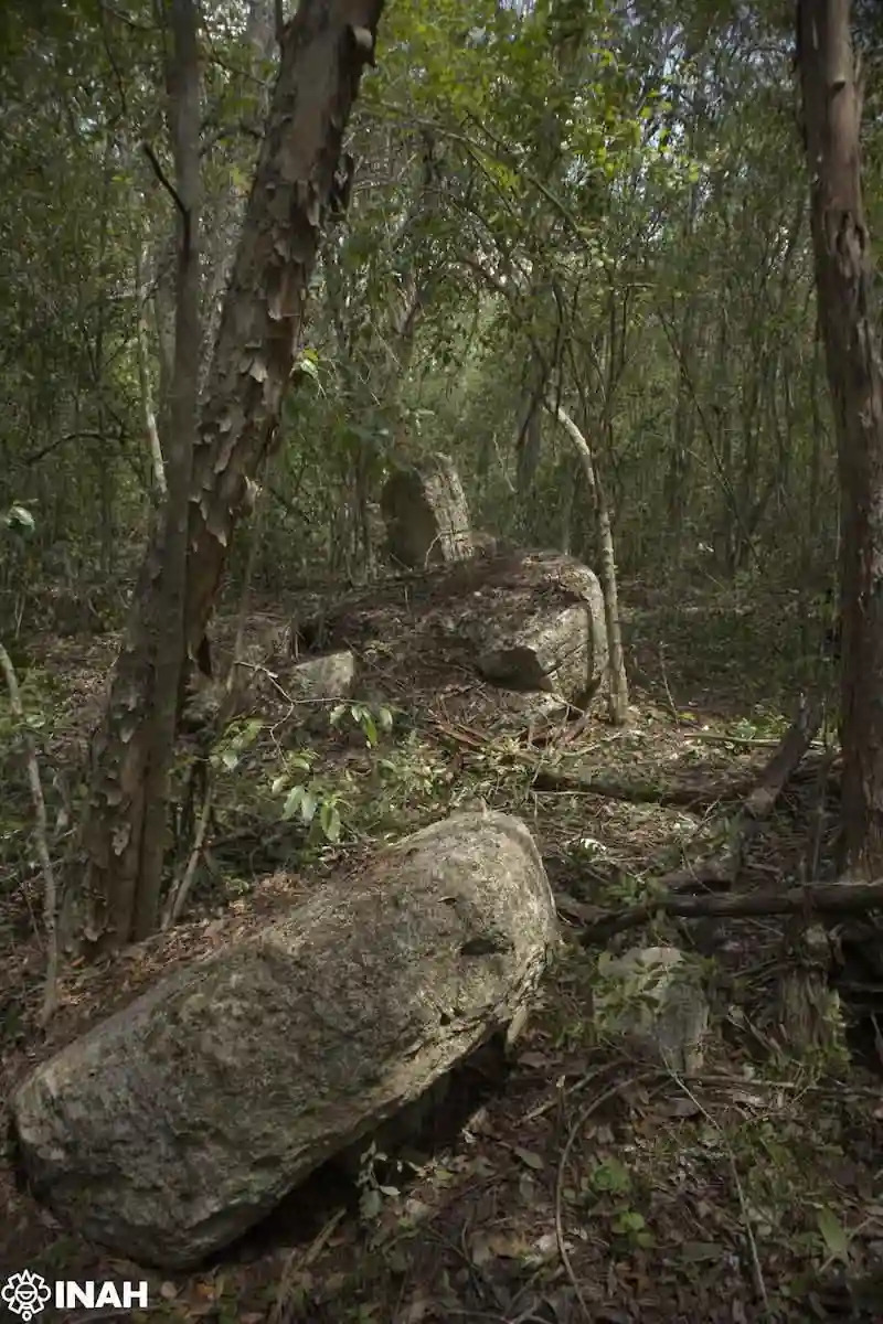 Hallazgo arqueológico en Calakmul sorprende al mundo