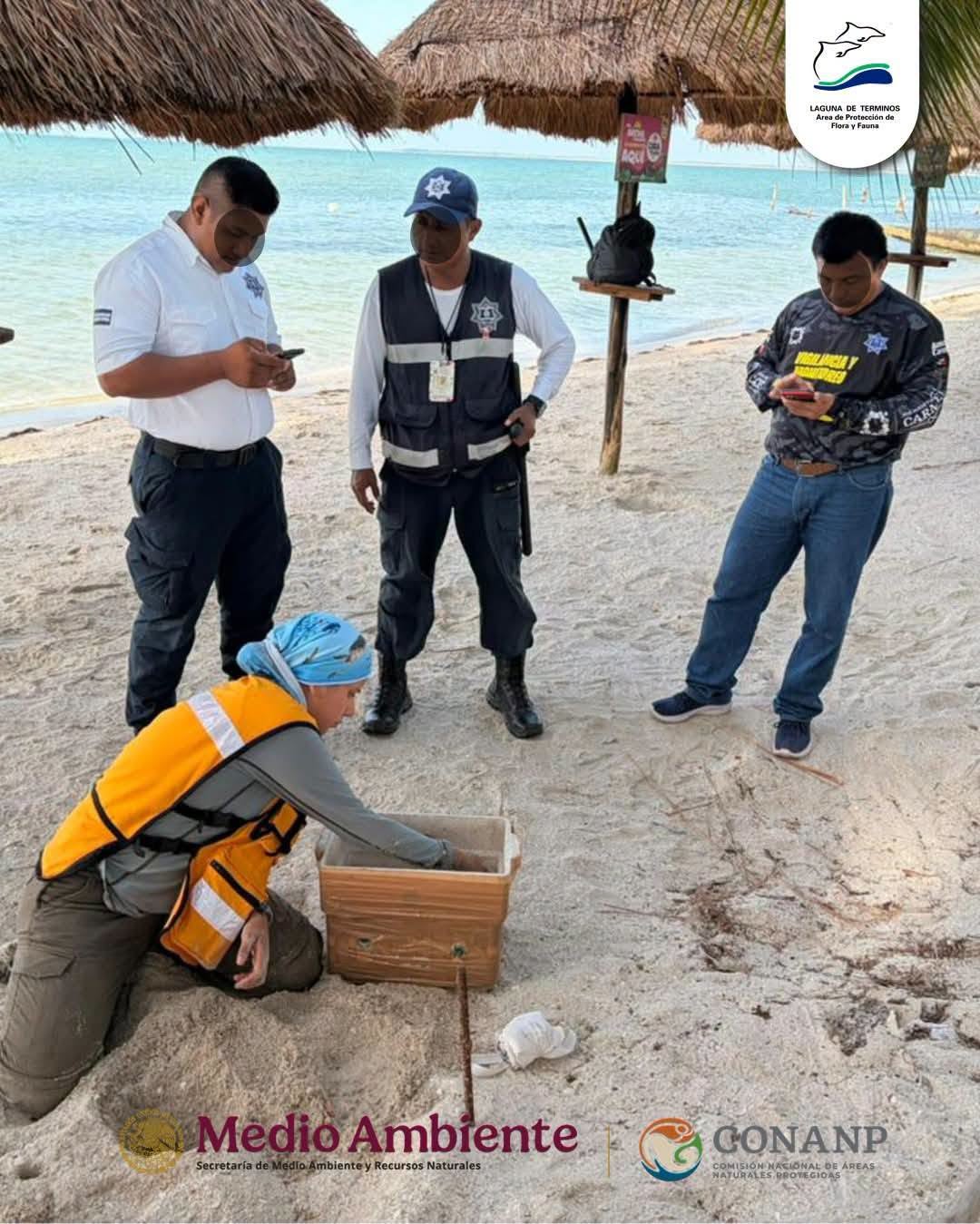 Importancia ecológica de la conservación