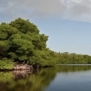 Jaina, la isla más "maldita" de Campeche