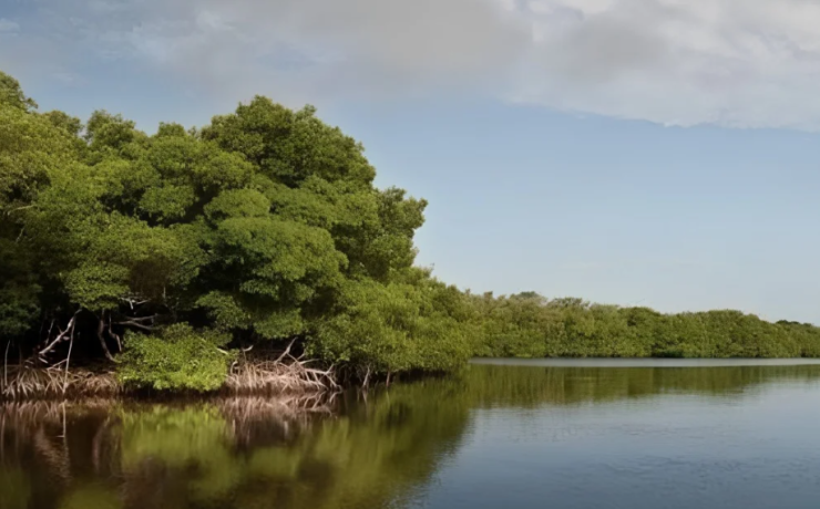 Jaina, la isla más "maldita" de Campeche