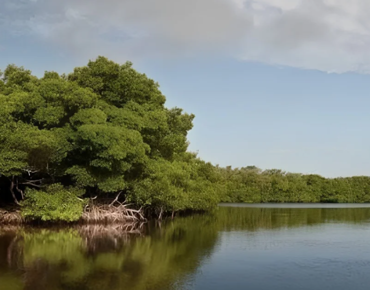 Jaina, la isla más "maldita" de Campeche
