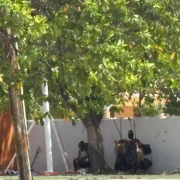 ¿Parques o refugios para indigentes? Crisis en Campeche