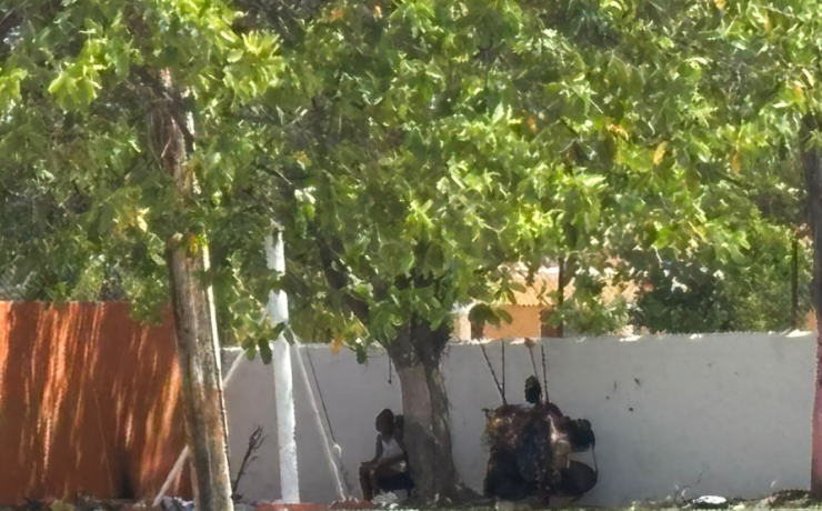 ¿Parques o refugios para indigentes? Crisis en Campeche