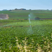 El campo quiere producir más con menos agua