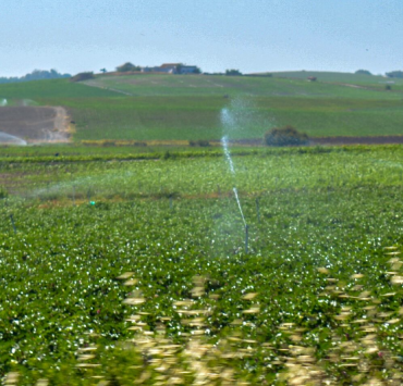 El campo quiere producir más con menos agua