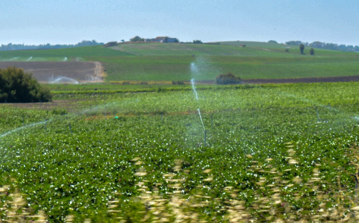 El campo quiere producir más con menos agua