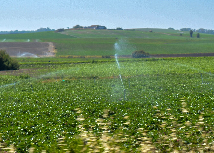 El campo quiere producir más con menos agua