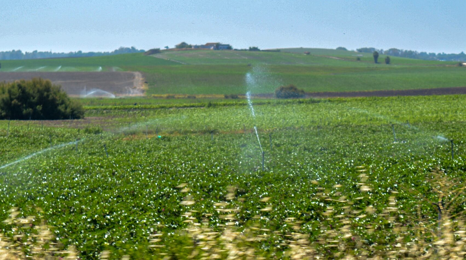 El campo quiere producir más con menos agua