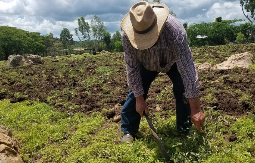 Inversión histórica y tecnificación del riego