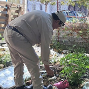 Intentan frenar el dengue en Campeche a pesar de las lluvias