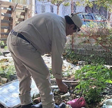 Intentan frenar el dengue en Campeche a pesar de las lluvias