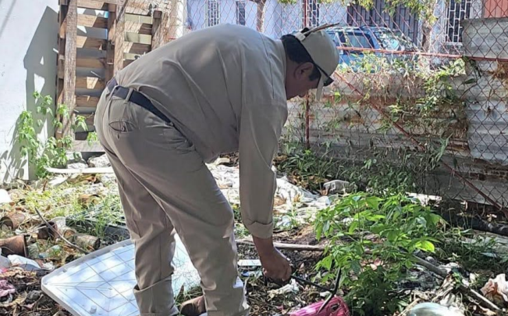 Intentan frenar el dengue en Campeche a pesar de las lluvias
