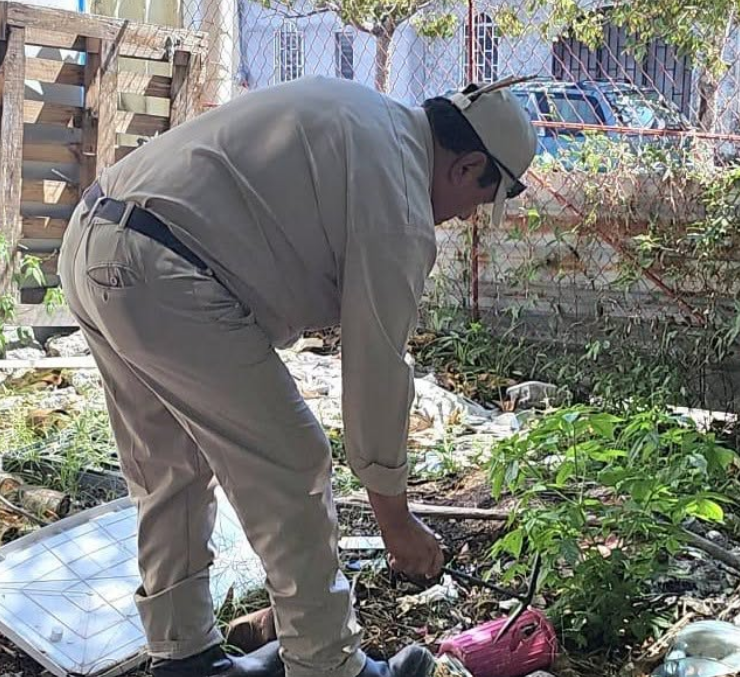 Intentan frenar el dengue en Campeche a pesar de las lluvias