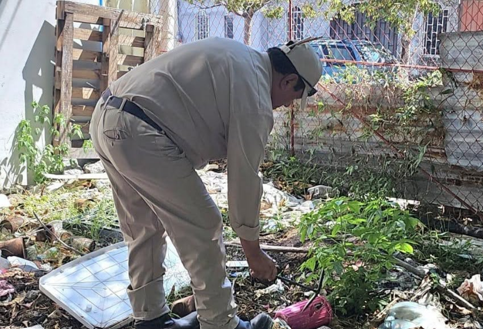 Intentan frenar el dengue en Campeche a pesar de las lluvias