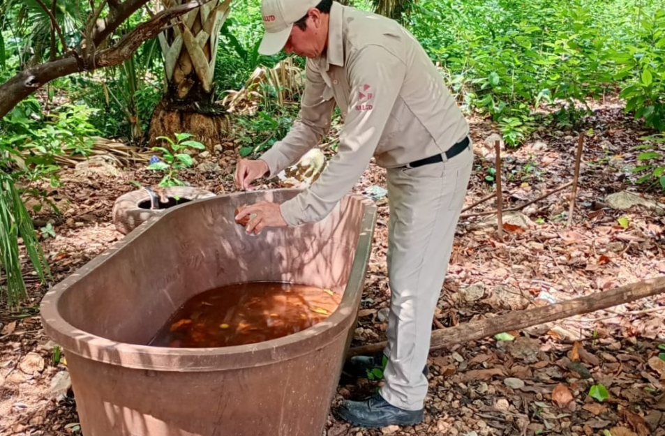 Frenar el dengue en Campeche: acciones urgentes