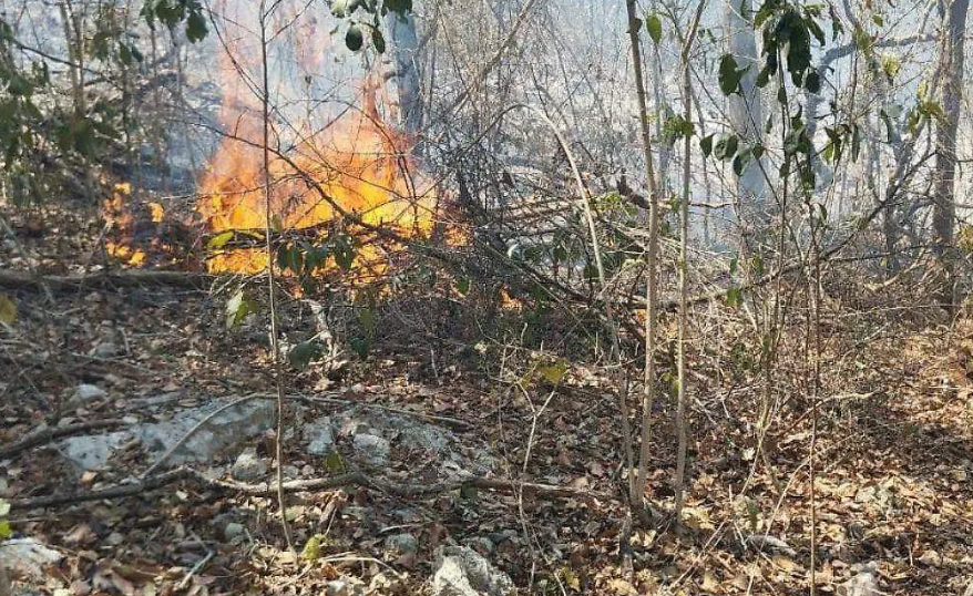 Panorama actual de incendios forestales en Campeche y focos rojos