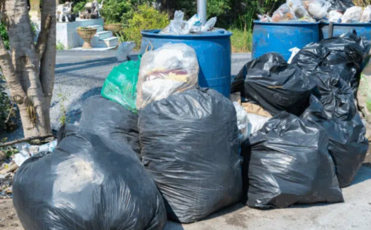 Red Ambiental recolecta 280 toneladas de basura diaria
