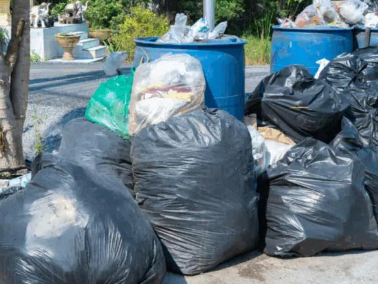 Red Ambiental recolecta 280 toneladas de basura diaria