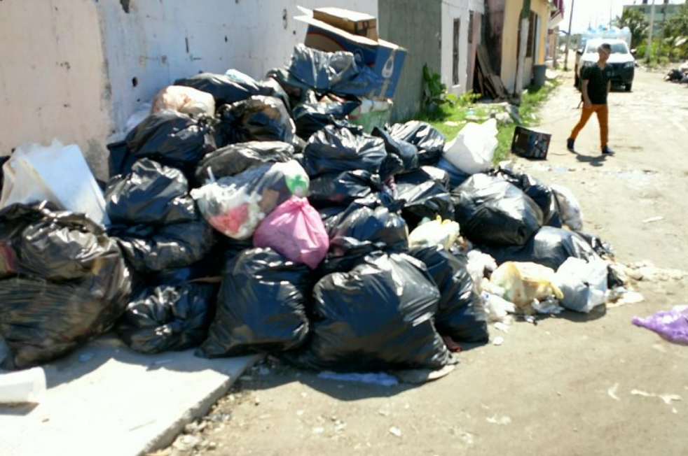 Gestión operativa y retos del servicio urbano