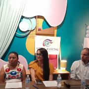 Exigen a la SCJN protección inmediata a cenotes y abejas