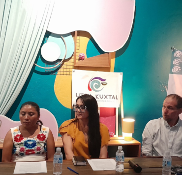 Exigen a la SCJN protección inmediata a cenotes y abejas