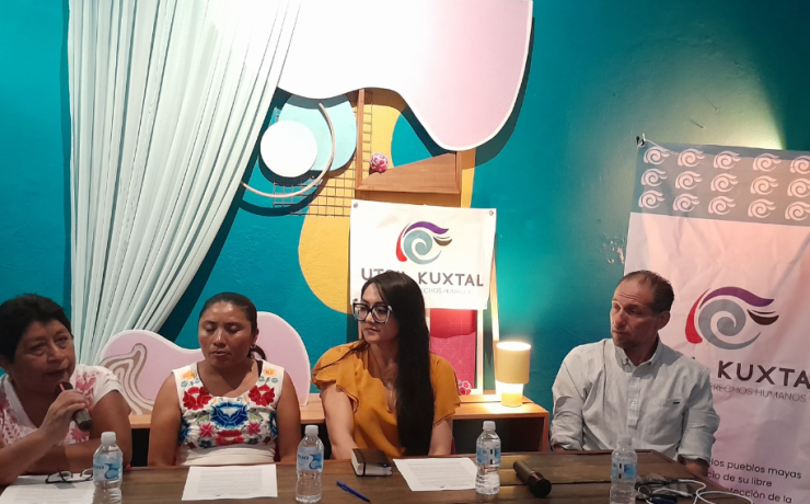 Exigen a la SCJN protección inmediata a cenotes y abejas