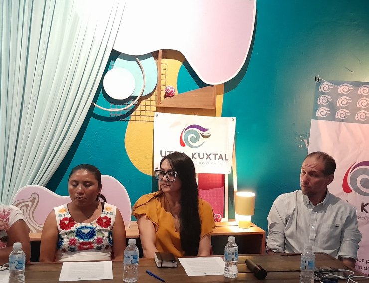 Exigen a la SCJN protección inmediata a cenotes y abejas