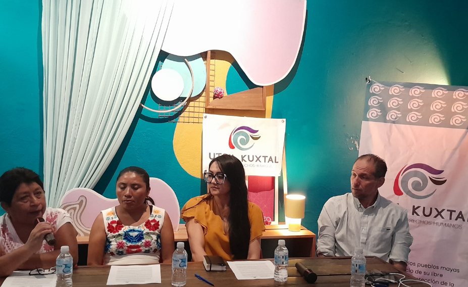 Exigen a la SCJN protección inmediata a cenotes y abejas